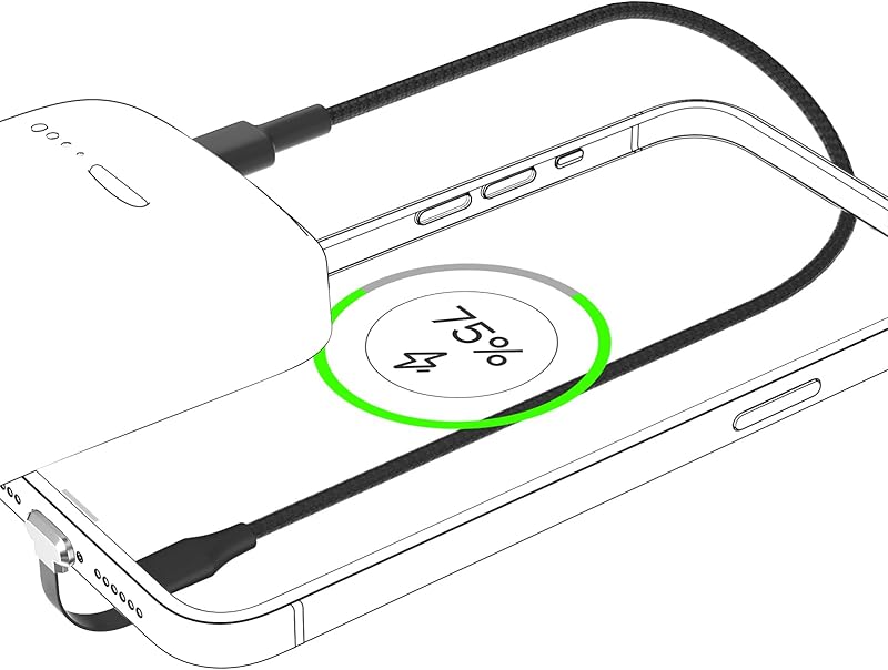 DbillionDa USB Cable 1ft High Speed Compatible